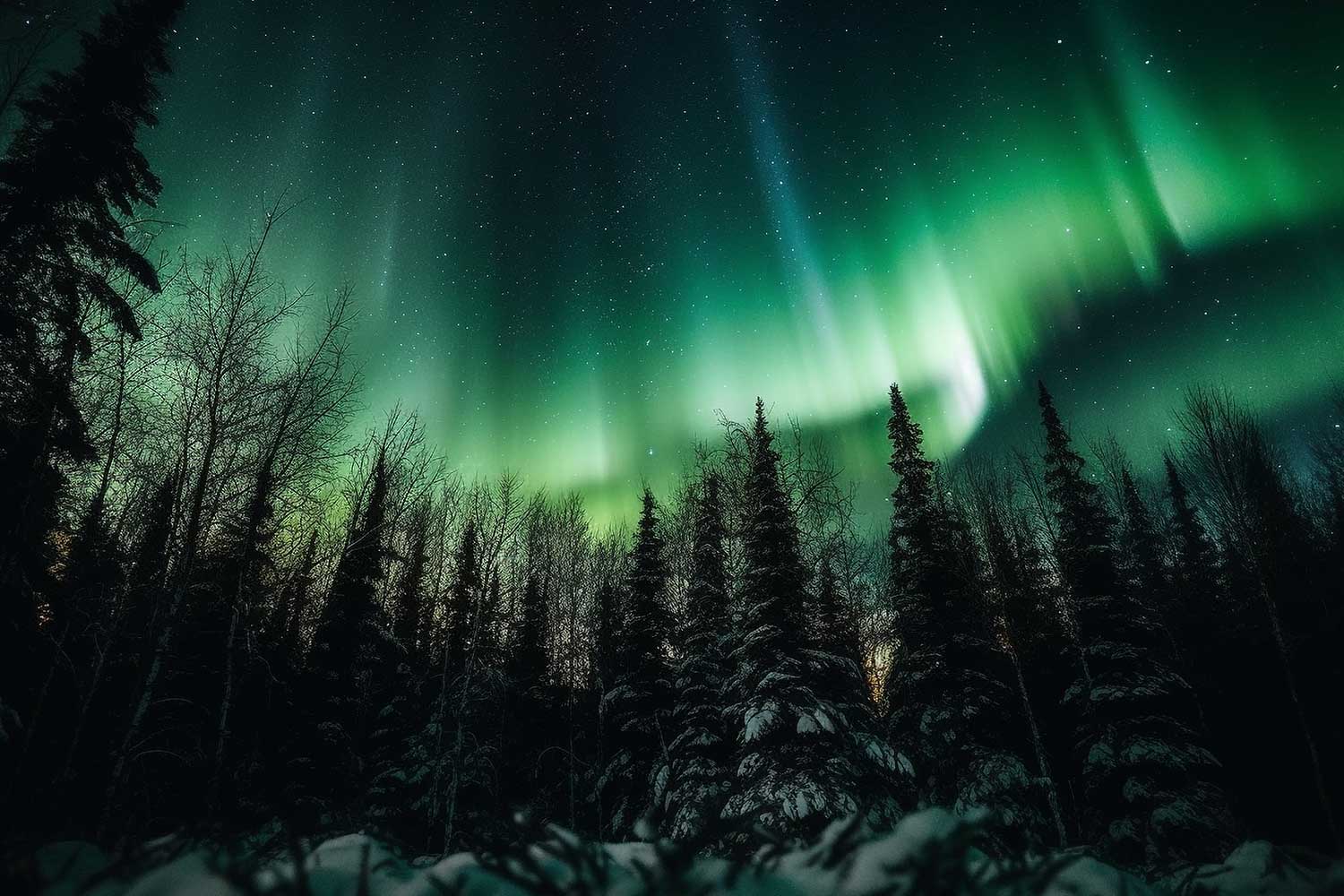 viaje-auroras-borales-canada-whitehorse