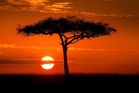 Kenia01...
