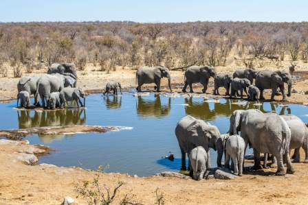 Namibia04...